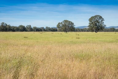 Property CA29A Baddaginnie-Benalla Road, Baddaginnie VIC 3670 IMAGE 0