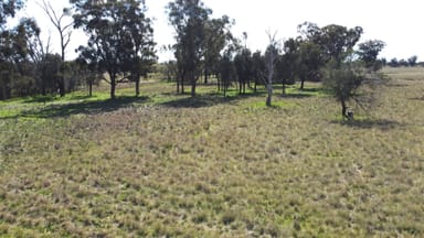 Property Lot 1 Roseholm Road, PEAK HILL NSW 2869 IMAGE 0