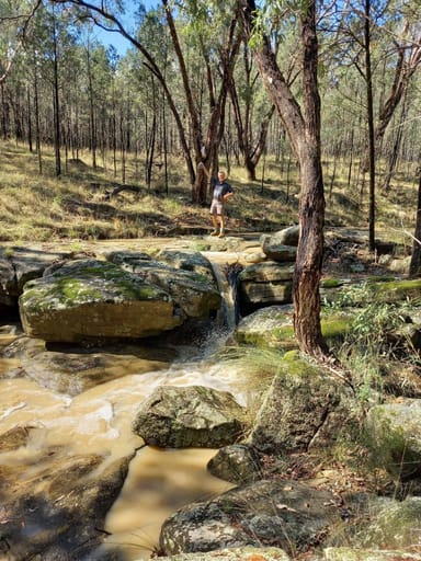 Property 325 Toorawandi Road, Ulamambri NSW 2357 IMAGE 0