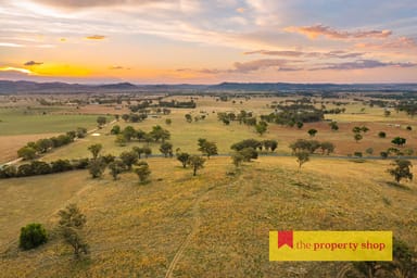 Property 705 Springfield Lane, Gulgong NSW 2852 IMAGE 0