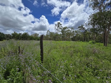 Property MOUNT GARNET QLD 4872 IMAGE 0