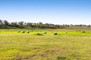 Property Lot 2 Gomoran Douglas Rd, Douglas QLD 4354 IMAGE 0