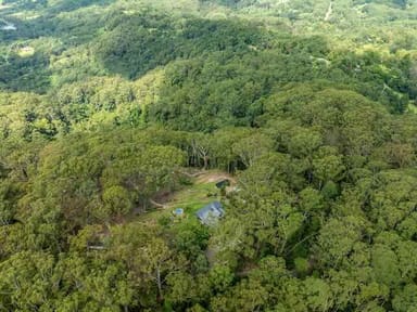 Property WILSONS CREEK NSW 2482 IMAGE 0