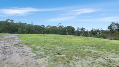 Property 181 Tamboon Road, Cann River VIC 3890 IMAGE 0