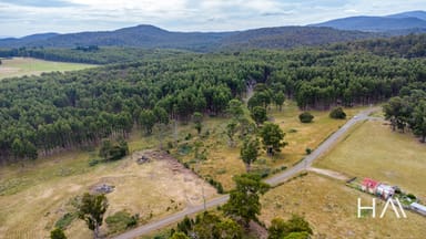 Property 12 Hunting Ground Road, Nunamara TAS 7259 IMAGE 0