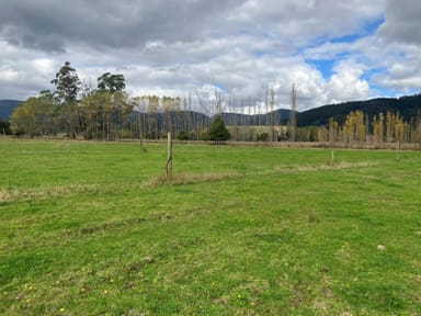 Property 36143 Tasman Highway, SPRINGFIELD TAS 7260 IMAGE 0