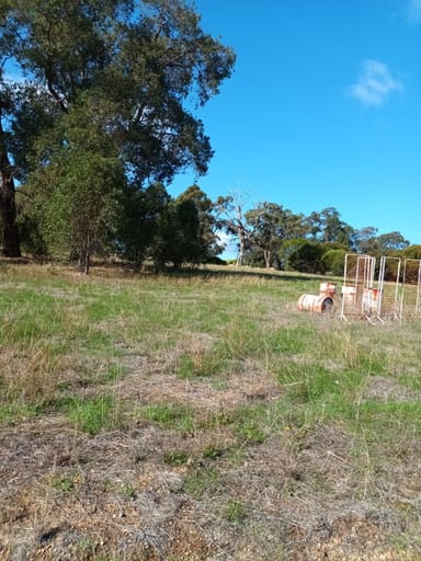 Property Lot 134 O'Driscoll Street, BAKERS HILL WA 6562 IMAGE 0