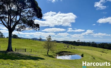 Property 1001 Holwell Road, HOLWELL TAS 7275 IMAGE 0