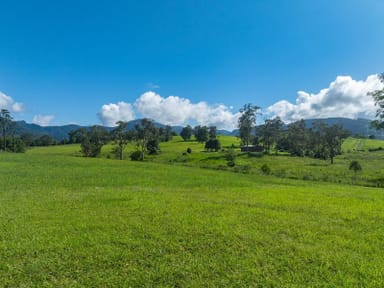 Property 4 Georgi Place, Nimbin NSW 2480 IMAGE 0