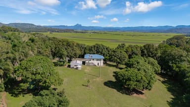Property 11 Duranbah Road, DURANBAH NSW 2487 IMAGE 0