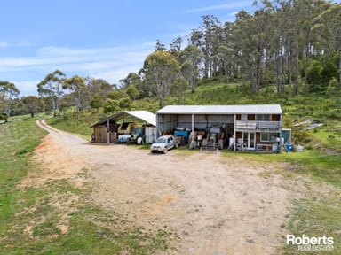 Property Lot 1 Cornelius Road, Sassafras TAS 7307 IMAGE 0