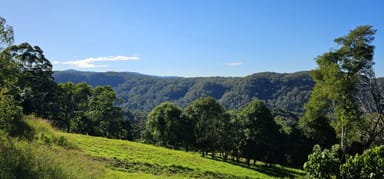 Property 1005 Tuntable Creek Road, Tuntable Creek NSW 2480 IMAGE 0