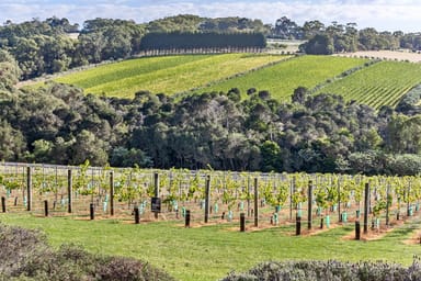 Property 37 Shoreham Road, Red Hill VIC 3937 IMAGE 0
