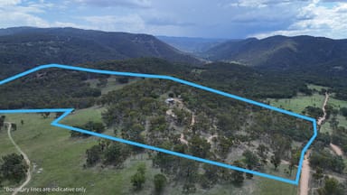 Property 813 Bluff River Road, TENTERFIELD NSW 2372 IMAGE 0