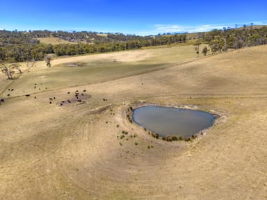 Property 475 Saltwater River Road, SALTWATER RIVER TAS 7186 IMAGE 0