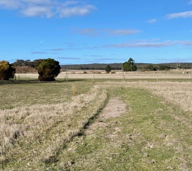 Property 50A Balls Road, Raglan VIC 3373 IMAGE 0