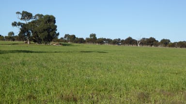 Property 10050 Ngarkat Highway, BORDERTOWN SA 5268 IMAGE 0