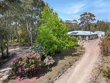 Property 25 Upper Scamander Road, SCAMANDER TAS 7215 IMAGE 0