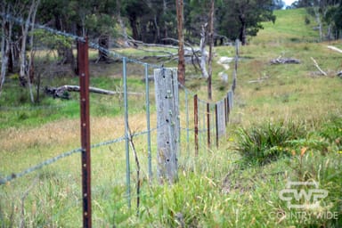 Property 1, - Watsons Road, PINKETT NSW 2370 IMAGE 0