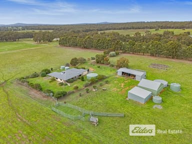 Property 43 Plumer Road, Mount Barker WA 6324 IMAGE 0