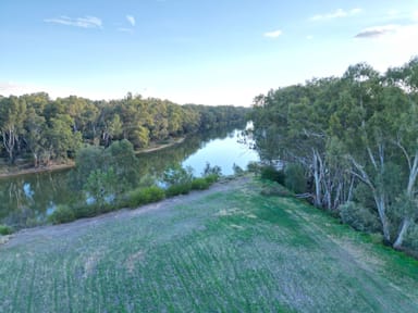 Property 3 Riverview Court, Barooga NSW 3644 IMAGE 0