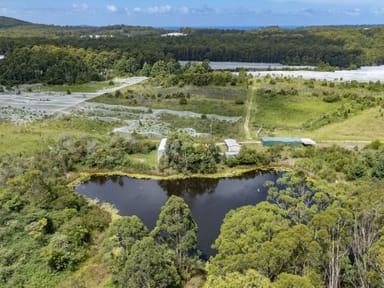 Property HALFWAY CREEK NSW 2460 IMAGE 0