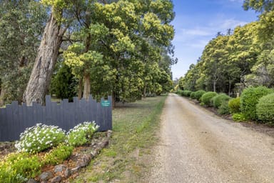 Property 1205 Winchelsea-Deans Marsh Road, Winchelsea South VIC 3241 IMAGE 0