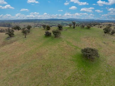 Property Gowan Green Road, Bakers Swamp NSW 2820 IMAGE 0