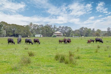 Property 184 Scotch Creek Road, MILLERS FOREST NSW 2324 IMAGE 0