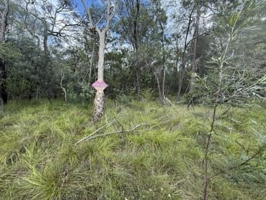 Property 5 Muller Road, BAFFLE CREEK QLD 4674 IMAGE 0