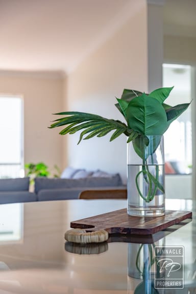 Property 3/19 Groom Street, Gordon Park QLD 4031 IMAGE 0