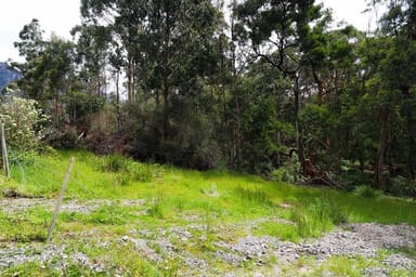 Property Lot 1 McCoys Road, Claude Road TAS 7306 IMAGE 0