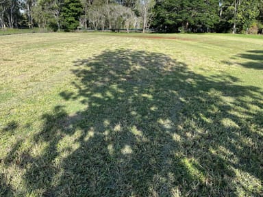 Property 31 Equestrian Drive, TOLGA QLD 4882 IMAGE 0