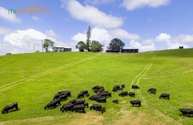 Property Lot 1, 103 Soldier Settlers Road, Newee Creek NSW 2447 IMAGE 0