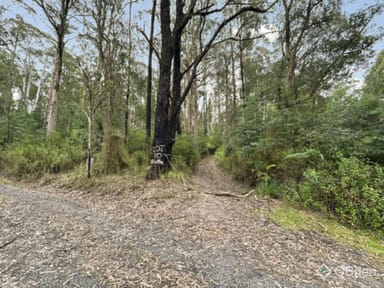 Property CA 10, Section 4, Old Coach Road, Walhalla VIC 3825 IMAGE 0