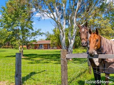 Property 397 Croobyar Road, Croobyar NSW 2539 IMAGE 0