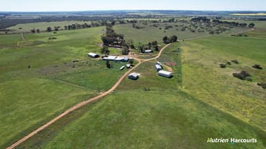 Property 2898 & 3178 Gillingarra Road, MOGUMBER WA 6506 IMAGE 0