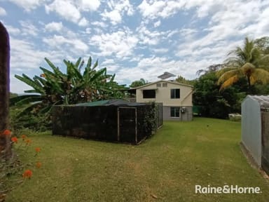 Property 134 Ronald Road Forest Creek, DAINTREE QLD 4873 IMAGE 0