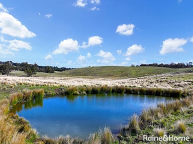 Property 2784 Abercrombie Road, BLACK SPRINGS NSW 2787 IMAGE 0