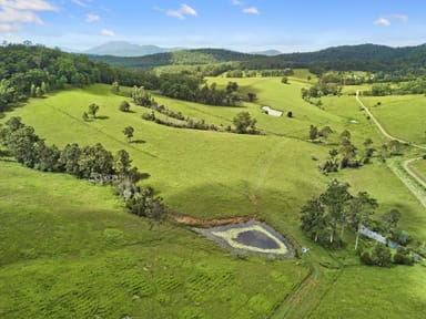 Property 629 Upper Rollands Plains Rd, UPPER ROLLANDS PLAINS NSW 2441 IMAGE 0