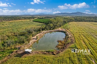 Property 67 East Dawson Road, MUTCHILBA QLD 4872 IMAGE 0