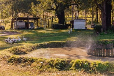 Property 121 Black Rock Road, Martins Creek NSW 2420 IMAGE 0