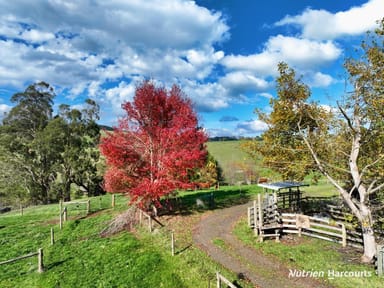 Property 175 Fishers Road, Boolarra South VIC 3870 IMAGE 0