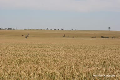 Property . Cnr Nembudding South Road & Hammond Road, KORRELOCKING WA 6485 IMAGE 0