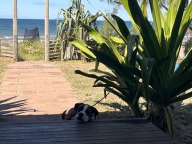 Property 2 The Esplanade, Forrest Beach QLD 4850 IMAGE 0