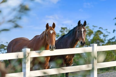 Property 71 Emerald Mountain View, TANGLEWOOD NSW 2488 IMAGE 0