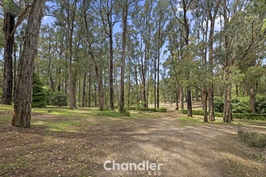 Property 37 Spring Road, Monbulk VIC 3793 IMAGE 0