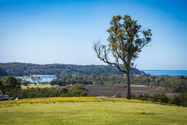 Property 8 Wheeler Avenue, Tathra NSW 2550 IMAGE 0