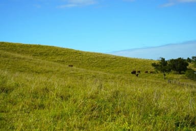 Property 65 Webbs Rd, Kyogle NSW 2474 IMAGE 0