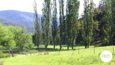 Property 99 McKenzies Road, Molesworth TAS 7140 IMAGE 0